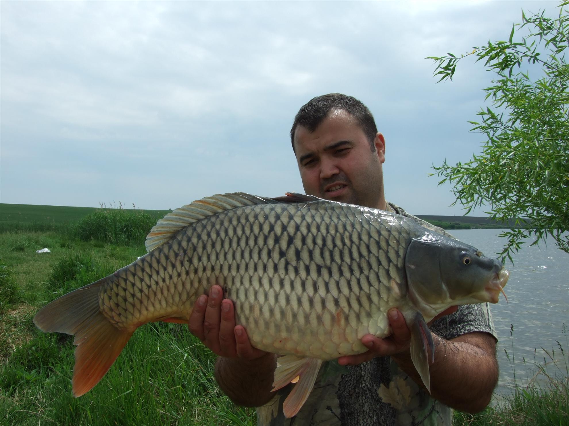 pescuit 2013 - dscf0315.JPG